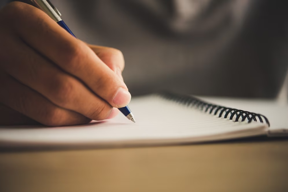 professional writer service